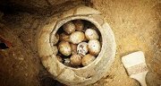 江苏一地底挖出2500年前的鸡蛋，专家看完啧啧称奇