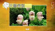 大咖笑料-20160909-  植物竟如此销魂，羞羞哒