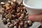 见过这么多的海鲜，唯独就喜欢这盘！