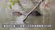 上海多地发现“巨型老鼠”，连尾巴约有80厘米长，有村民青菜一夜之间被吃干净