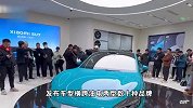 真爱粉还是凡尔赛？闲鱼现大量车主转卖旧车购买小米SU7
