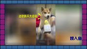 娱人鱼-20180119-和前任分手的奇葩理由！