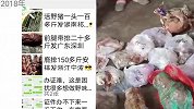 一野味帝国被查，曾扬言20000包办许可证，举报了照样开业