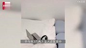 男子偷好友家门钥匙，偷偷潜入将现金全调包-仅第1张最后1张是真钞