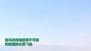 新疆昭苏再现“万马奔腾”：骏马四蹄翻腾长鬃飞扬，如海潮般势不可挡