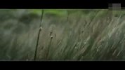 20150603-苏宁父亲节-僵尸爸爸  父爱如山
