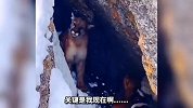 这猫咪表情也太凶了吧 实在是惹不起