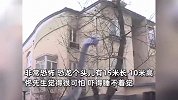 市民反映邻居院里放大恐龙，红嘴白牙非常恐怖，要求搬离遭拒