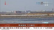 泰湖湿地 万鸟春归 共度晨光 120329