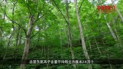 《中国推介》之《桂东山水爽天下》