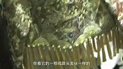郭培：每个女人都有最美的15分钟
