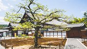 Booking评分9.1的日本民宿，竟真能省心包租10年？