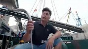 连江渔船陆续回港，大哥立马赶来挑带鱼，记住这三招就行
