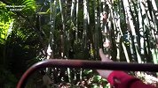 圆梦日：米奇与“米奇”畅快同游的一天