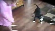生活-狗狗欺负主人遭猫咪暴打