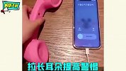 别人520幸福浪漫，可你送的礼物是着急分手？