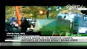 美纽约占领华尔街游行被清场帐篷被拆