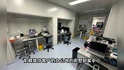 杭州别墅区惊现胚胎移植室！记者调查遭2女子跟踪尾随，官方介入