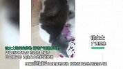 社交平台“互换特产”走红，亲历者吐槽：精心准备换来一包劳保手套