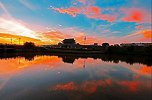 《中国推介》——生态大湿地 诗画焦岗湖