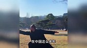 去90后美国小伙在武当山习武15年，“金发变黑”引热议？