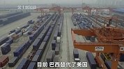 美国农业出口下滑至620亿！俄罗斯将取代美国成最大出口国？