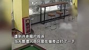 公寓管理员持球杆猛打翻垃圾小猫，公寓管家：只是驱赶，猫没死