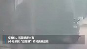 武汉一男子偷300余支鲜花，想在情人节倒卖：全是紧俏货