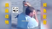 突如其来的温柔，把鳄鱼都整不会了