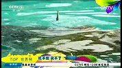 世界杯-14年-巴西大海龟接班章鱼保罗 可吃不饱赢不了-新闻