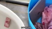 虽然哭得最伤心，但是动作一个也没忘