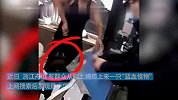 渔民误捕“蓝血怪物”，上网搜索发现是中华鲎