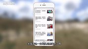100亿只兔子差点灭了国被迫出动轰炸机炸兔子中国人：交给我们