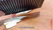 黄瓜和它一起炒简直是绝配，做法简单，清脆好吃又营养，太香了