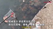 男子曝一群人放生水果鱼龟鳖还请和尚超度，转身捞走喂鸟：全死了