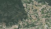 青岛大爷踩80厘米高跷下海捕虾，一次抓40斤，小孩吃了补钙！