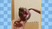 颜值高才是卖萌 你是卖蠢