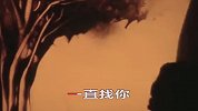 温州寻亲歌曲，周开豹找85年弟弟