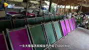 56猪粪