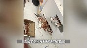 男子在办公室闻到臭味，砸开墙体发现老鼠“粮仓”：满墙花生米面条