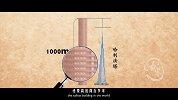 世界上最大的百科全书为何诞生在中国古代？总高度高于世界第一塔