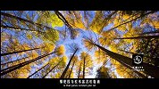 20170824-一根木桩撑起的大坝？-看鉴地理96集