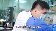 河南发现距今2000多年的粽子：呈现厚圆饼状，是这个馅儿
