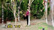 盘点诸神的硬核晨练，运动高手在民间，满级操作
