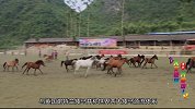 《中国推介》之为家乡推介——德保