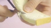 长颈鹿