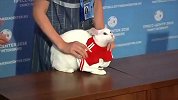 小猫化身预言帝 俄罗斯vs沙特你pick谁？