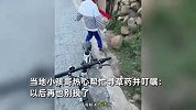 七步内必有解药！男子旅游误碰霍麻手被疼坏，小孩哥热心寻草药