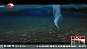 人类首次拍摄到南极海底“死亡冰柱”-11月26日