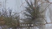 北京空气重污染橙色预警即将启动！疾控发布健康防护提醒